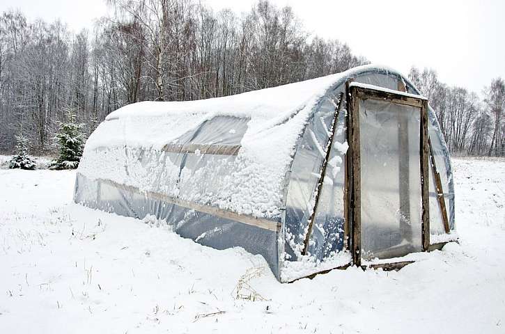 Skleníky, fóliovníky a pařeniště. Co je pro vás ideální?