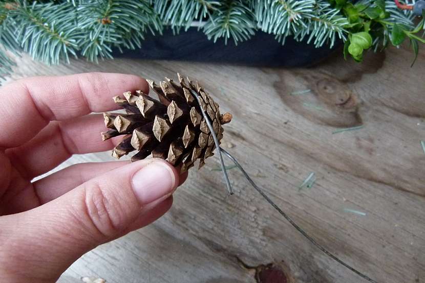 Adventní svícen: borové šišky