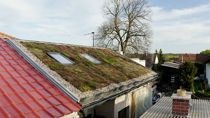 Zelená střecha zdobí i izoluje (Zdroj: Prima DOMA MEDIA, s.r.o.)