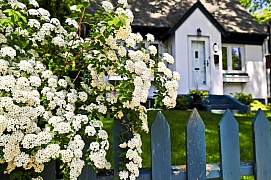 Bíle kvetoucí zahrada je okouzlující