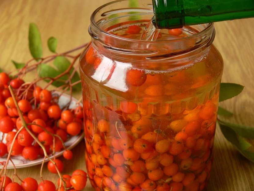 Recept na kompot, džem a víno z jeřabin