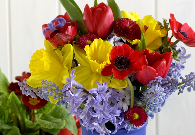 Veselá dubnová kytice: Zářivé barvy jarních květin