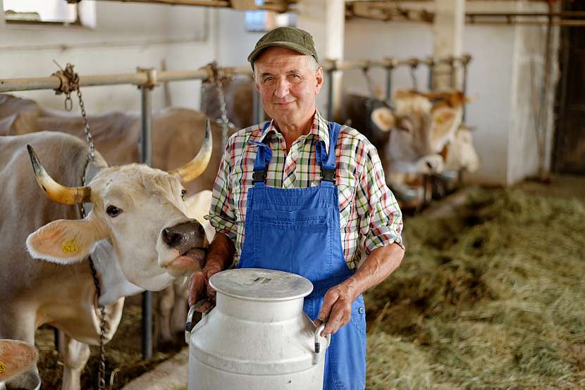 Díky farmářským trhům podporujeme lokální zemědělce, potraviny se nepřeváží z dalekých krajin