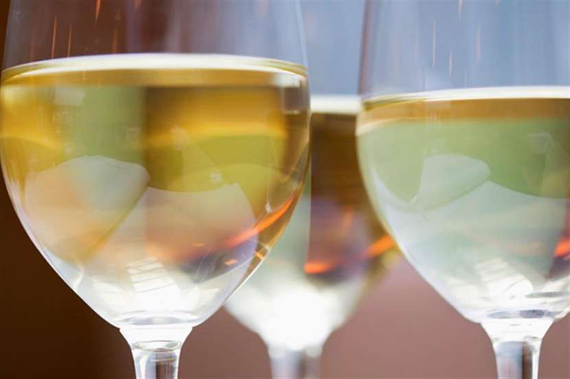 Kam na výlet: Nastal čas vinobraní… 3