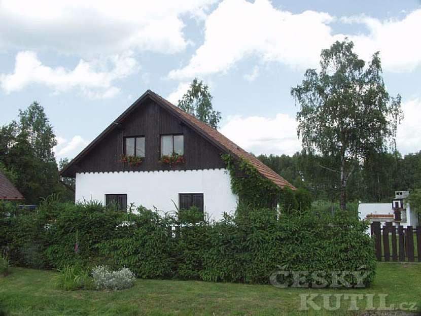 Jehličnany – správný řez