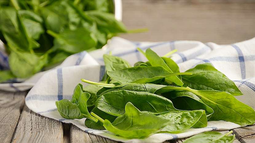 Recept na jarní vaječnou tlačenku: špenát (Spinacia)