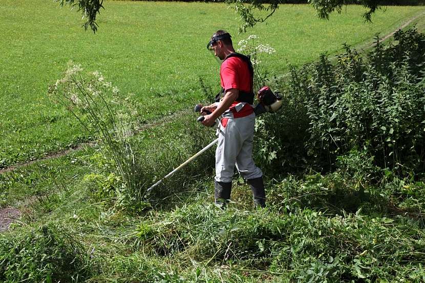 Před výběrem křovinořezu zvažte, jakou práci s ním budete vykonávat a jaké máte od stroje očekávání.