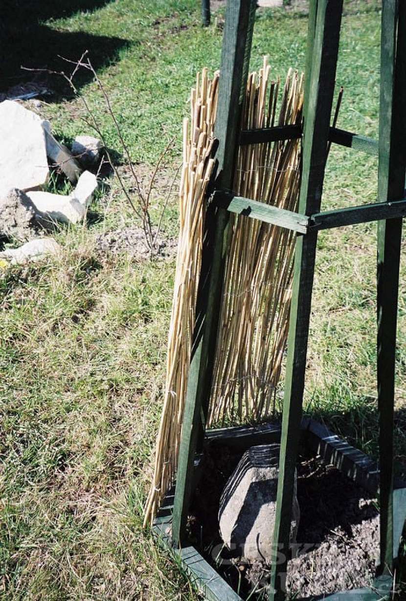 Výroba indiánského stavu na rákos