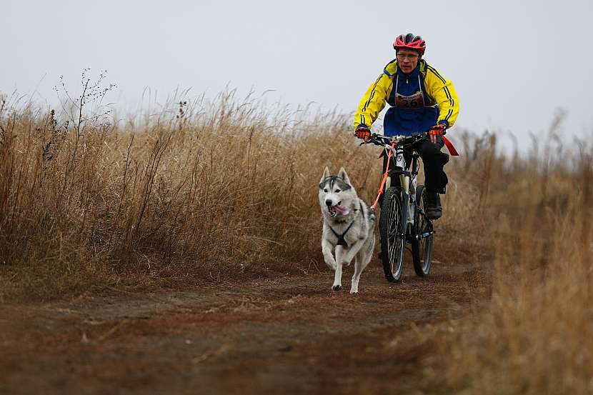 Bikejoring