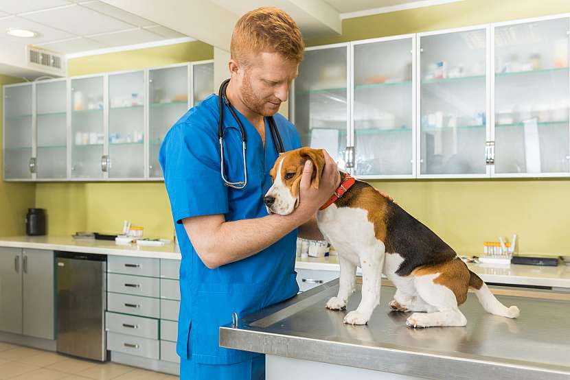 Veterinář