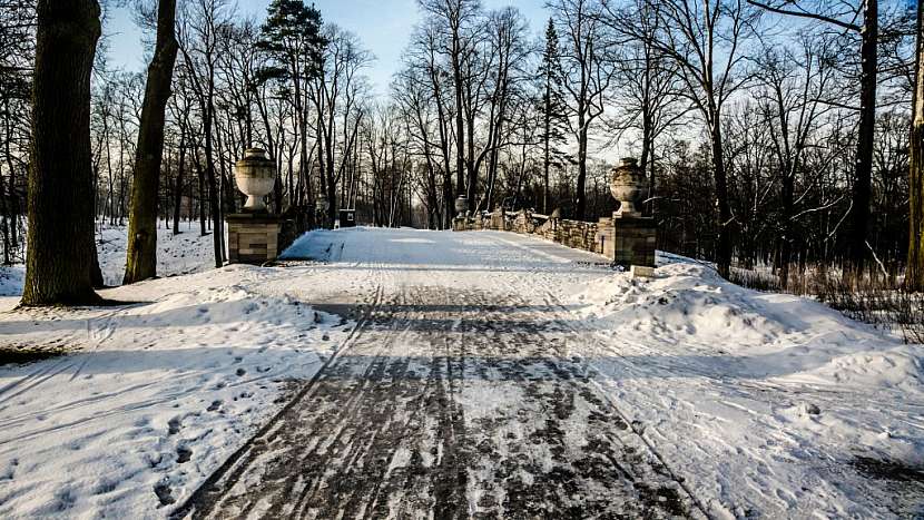 Rozsolený sníh raději nahrneme stranou od stromů a keřů