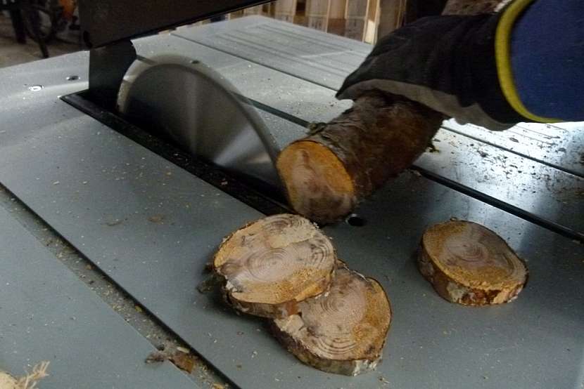 Vánoční dekorace si letos přineste z lesa 2