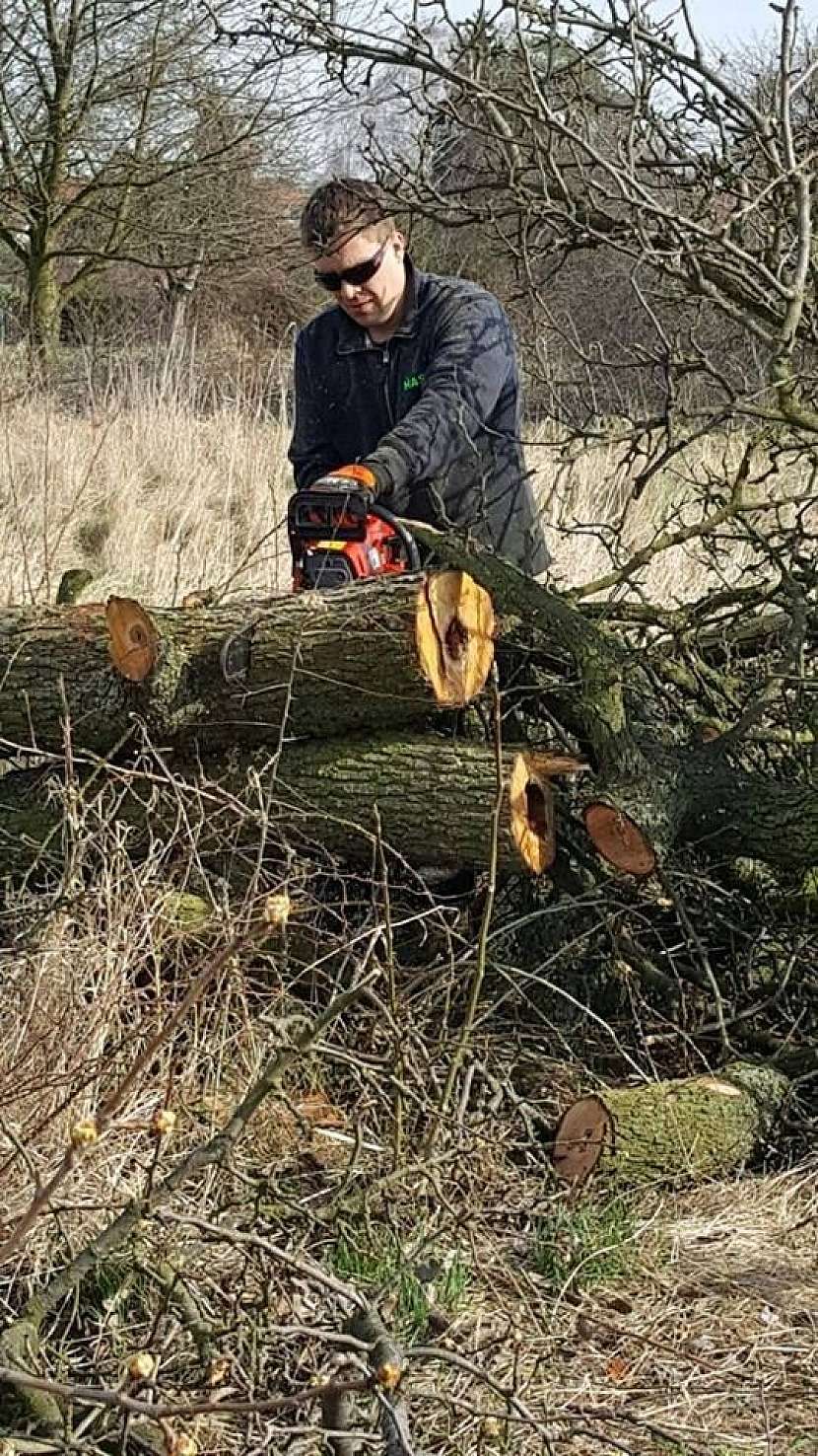 Délku lišty pily volíme podle zručnosti, práce a výkonu