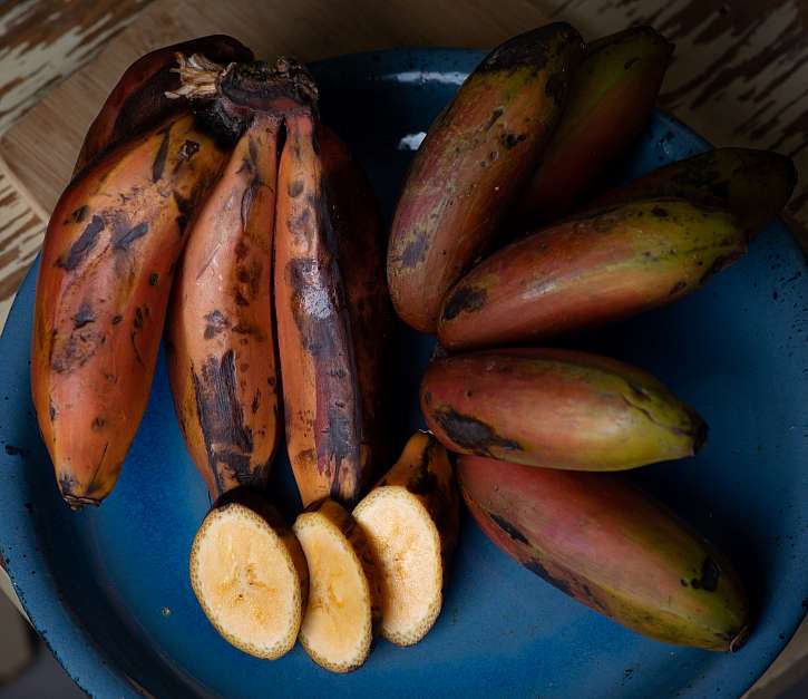 Red banány jsou určeny ke konzumaci za syrova