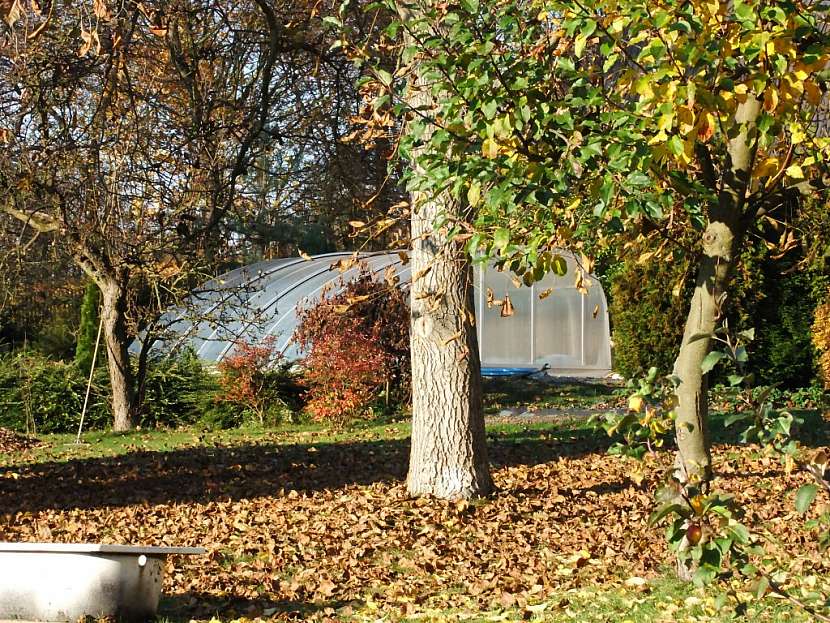 Na veletrhu FOR GARDEN navštivte výstavu velkoformátových fotografií