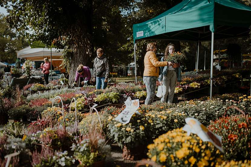 Podzimní Flora_pátek-14