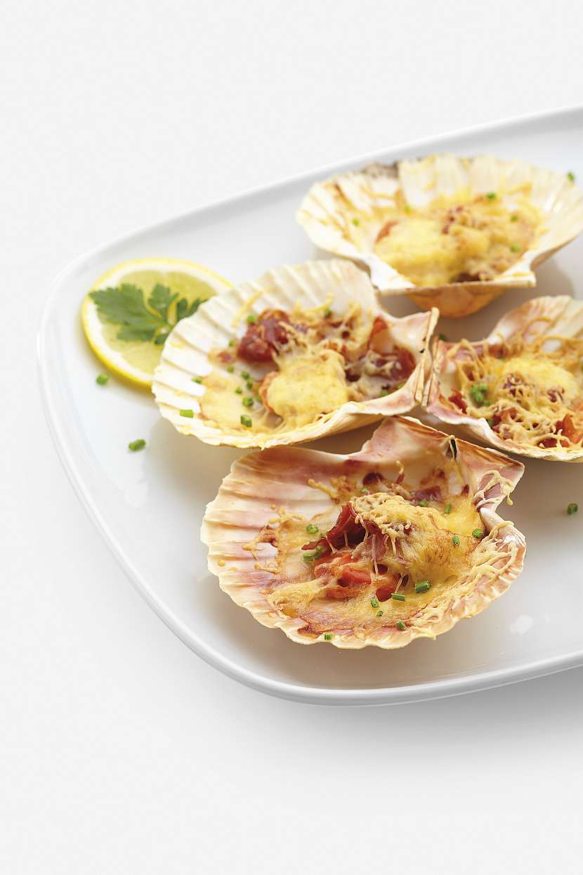 125363_file_print_Clam