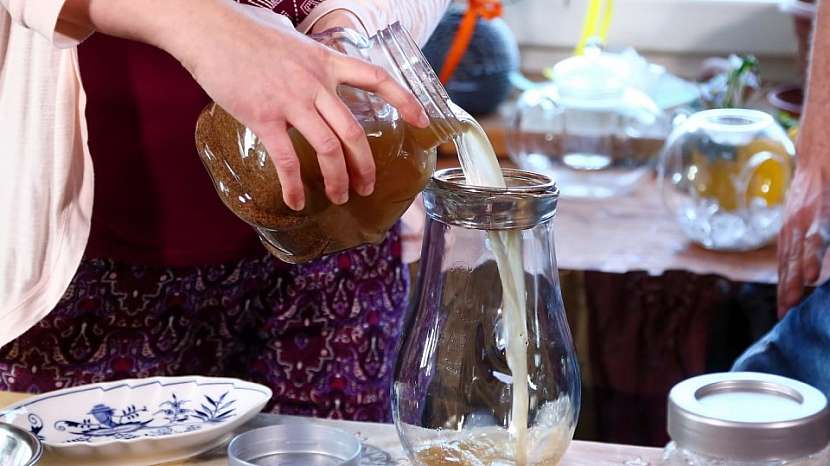 Jak si doma připravit kapičky z ostropestřce mariánského: Výborný přírodní detoxikant a antioxidant 4