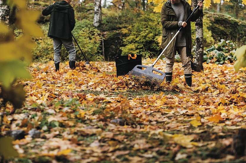 K podzimnímu úklidu zahrady patří hrabání listí (Zdroj: Fiskars)