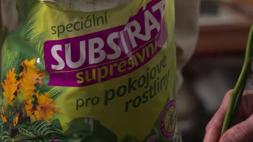 supresivní substrát