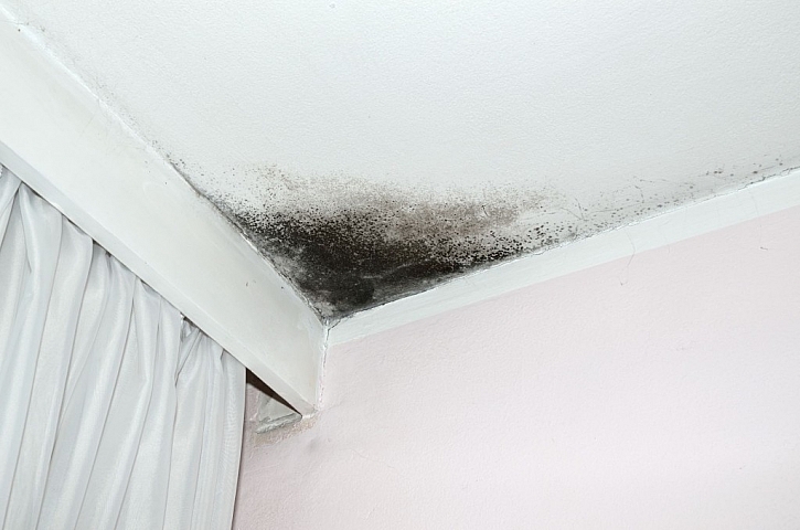 Na poškození pláště střechy může upozornit i plíseň na stropě pod střechou