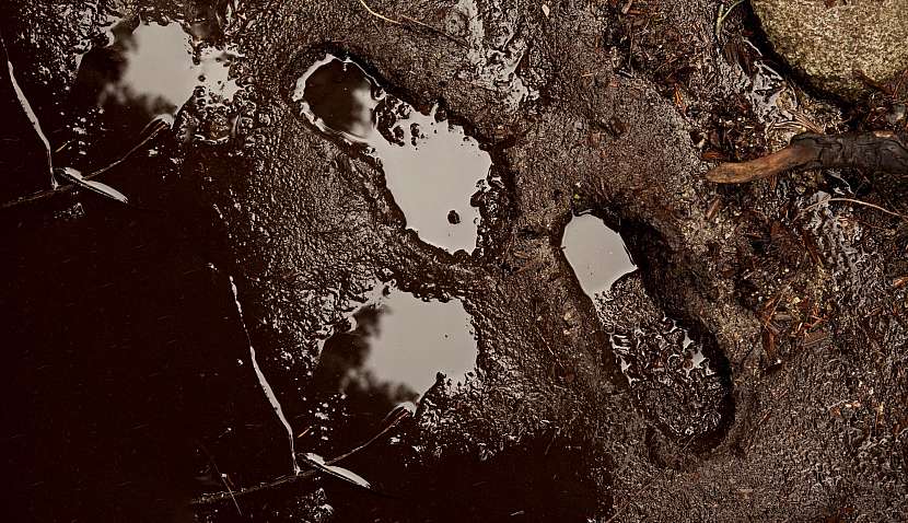 VELUX_Foot print1