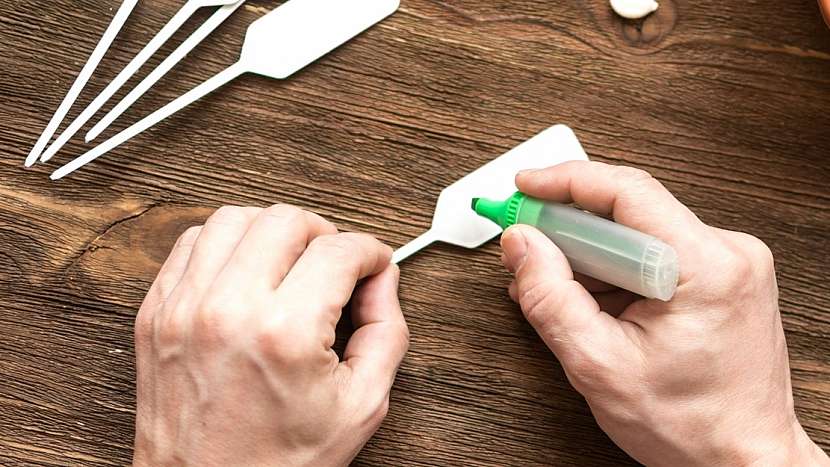 Proč hnědnou listy pokojových rostlin: abyste nezapomněli hnojit, pořiďte si jednoduchou pomůcku