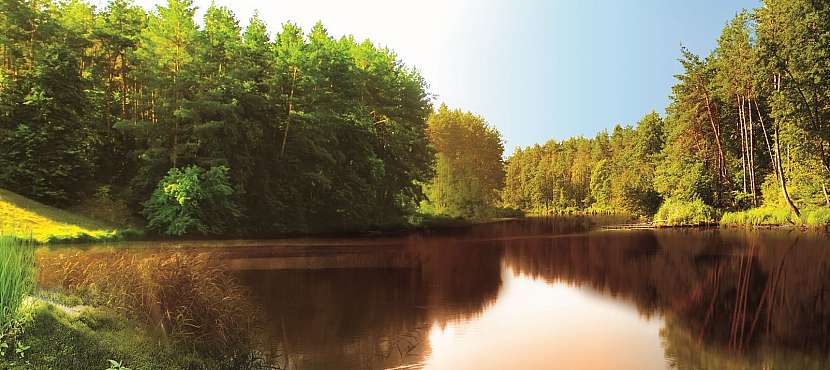 BALNEO_PEAT_prirodni_bylinna_koupel_LAHVICKA_problematicka_plet upr