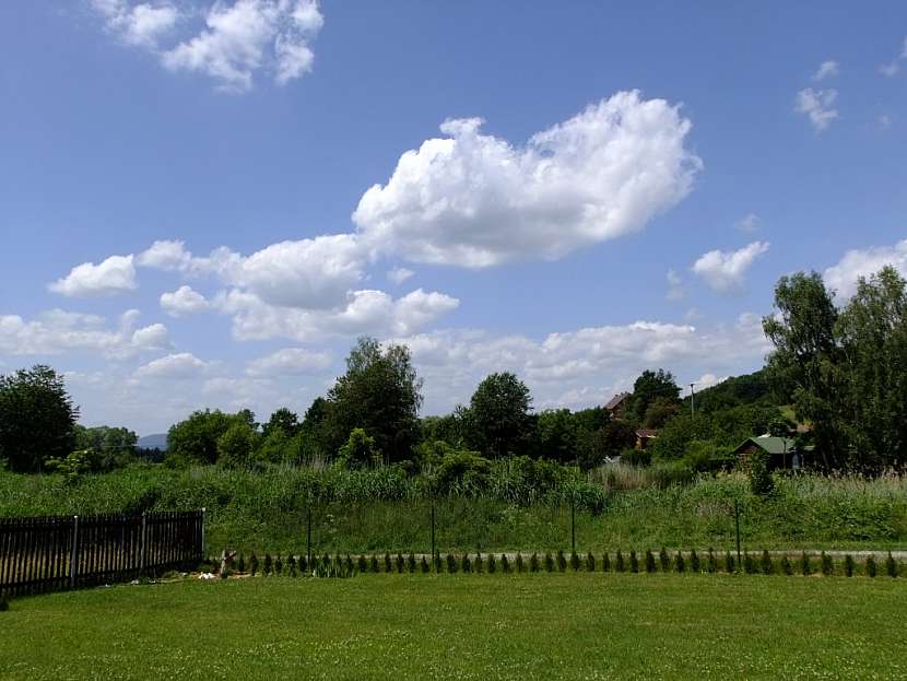 Výsadba