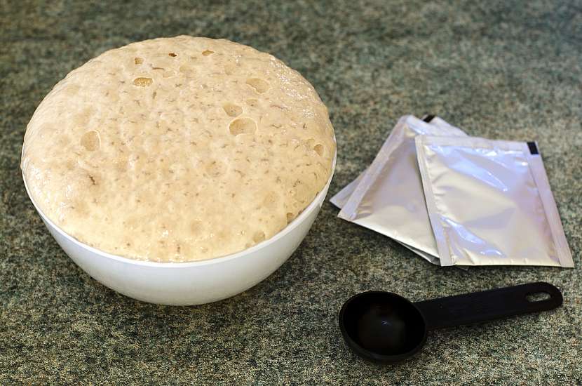 Droždí