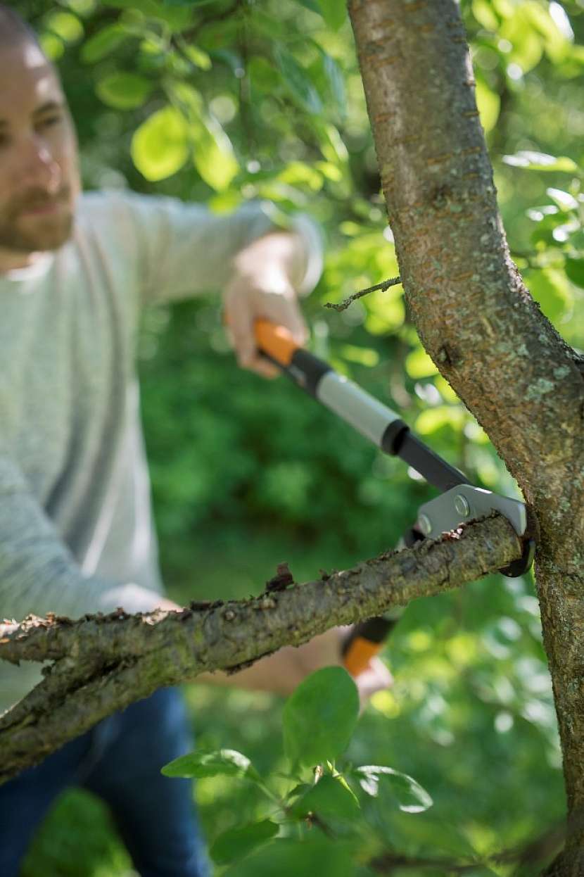 Nůžky na silné větve PowerGear X jsou nůžky s medvědí silou! Patentovaný mechanismus ztrojnásobí vynaloženou sílu a vy tak ustřihnete i silné větve s třikrát menší námahou.