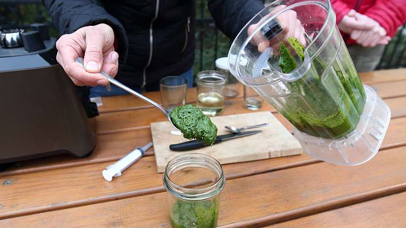Recept na domácí pesto z česneku medvědího: hotové pesto zalijeme olejem