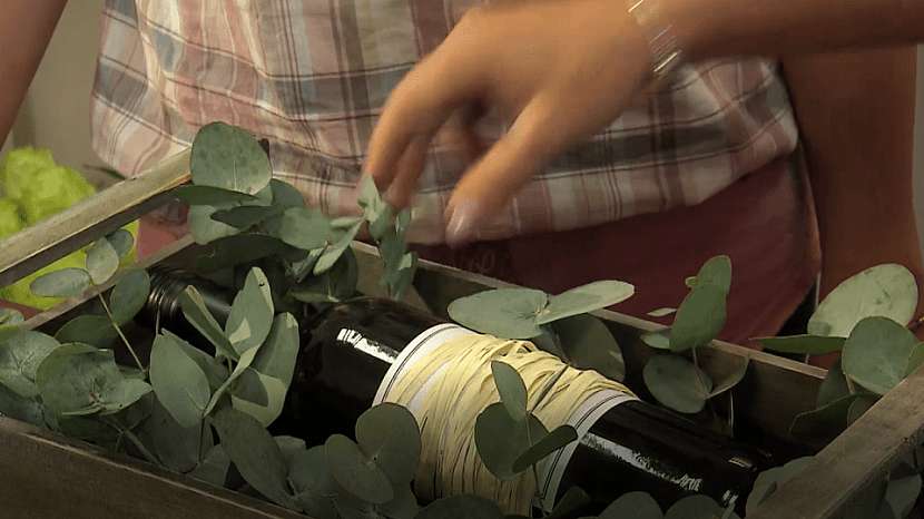 Květinový box: začněte vypichovat zeleň