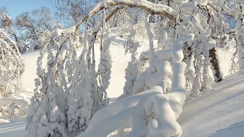 Leden v lidové meteorologii: průměrné teploty padají ke svým minimálním hodnotám
