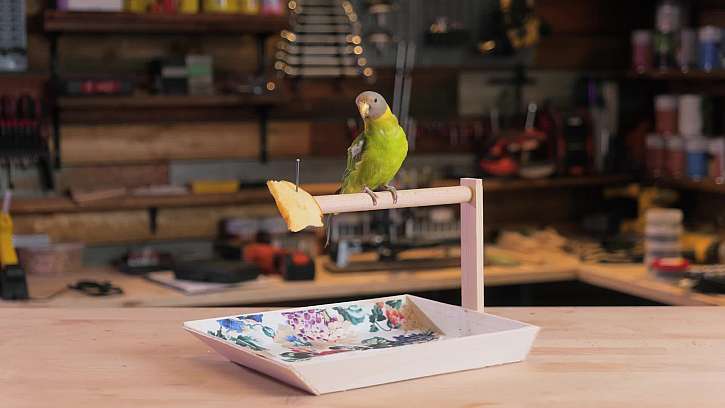 Vyrobte stylové bidýlko s toaletou pro vašeho papouška
