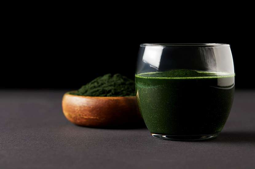 Chlorella