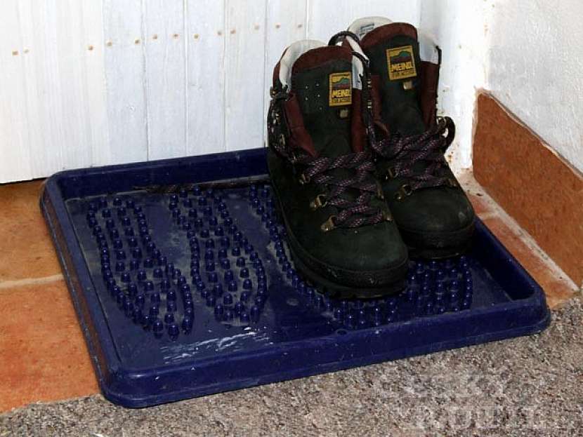 Jak vybrat botník?