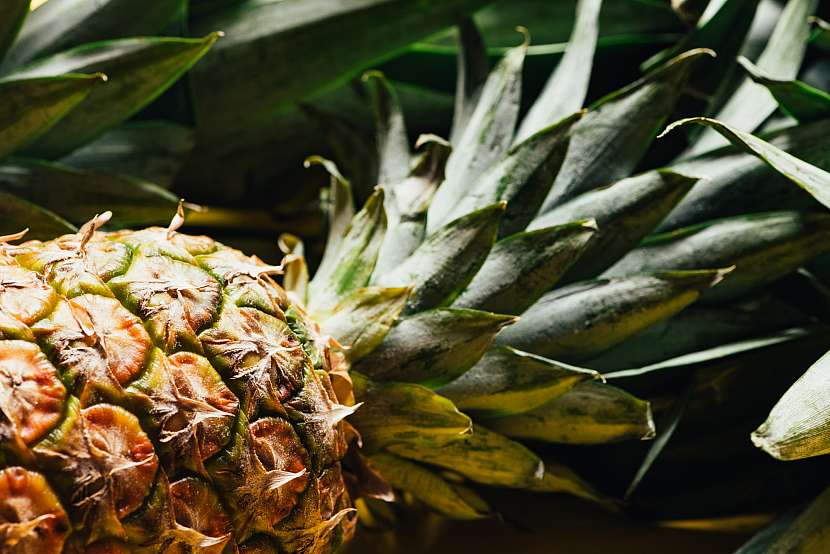 ANANAS (Ananas Comosus)