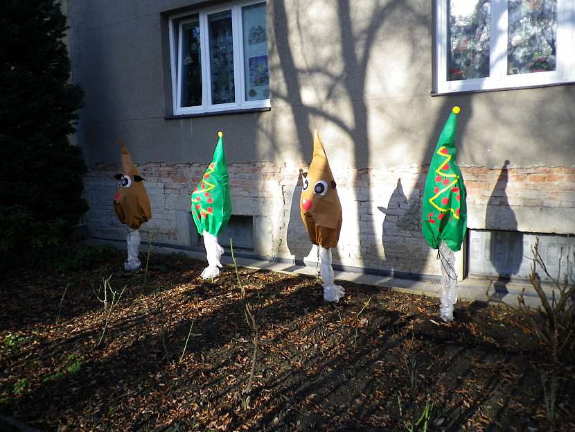 Netradiční zazimování růží