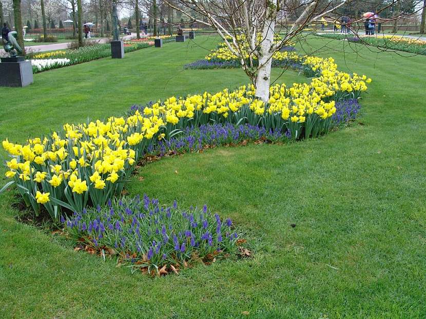 Keukenhof – největší květinový park na světě