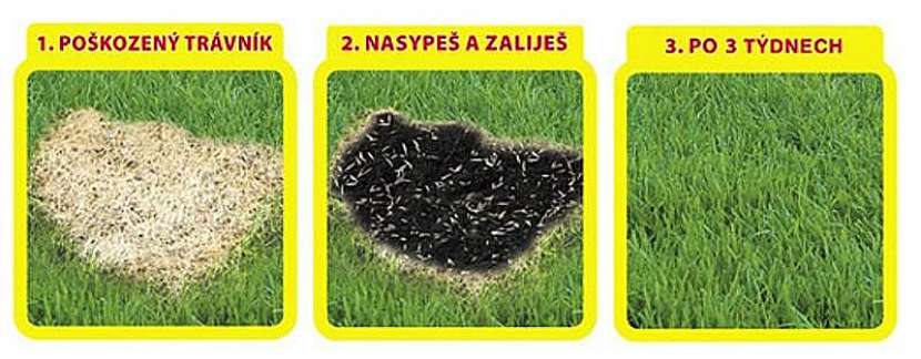 Jak při opravě trávníku postupovat?