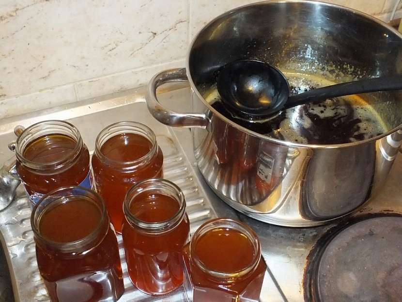Pampeliškový sirup