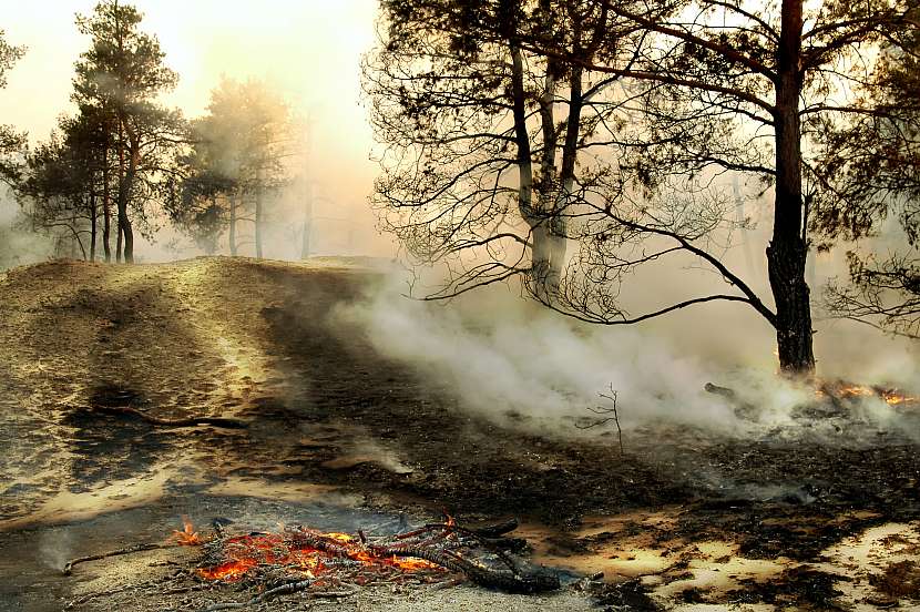 Požár