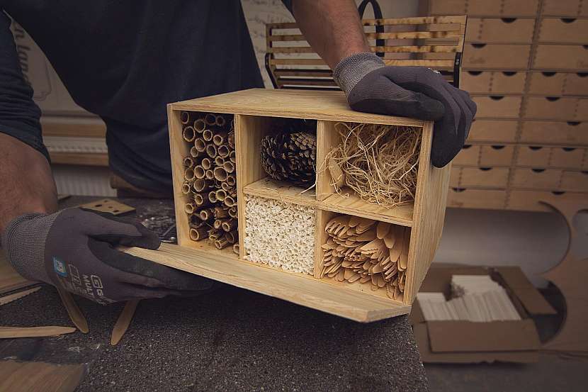 Vyplňte kóje libovolnými přírodními materiály. V ilustraci jsou kóje vyplněny křídlatkou, brčky, šiškami, dřevitou vlnou a příbory