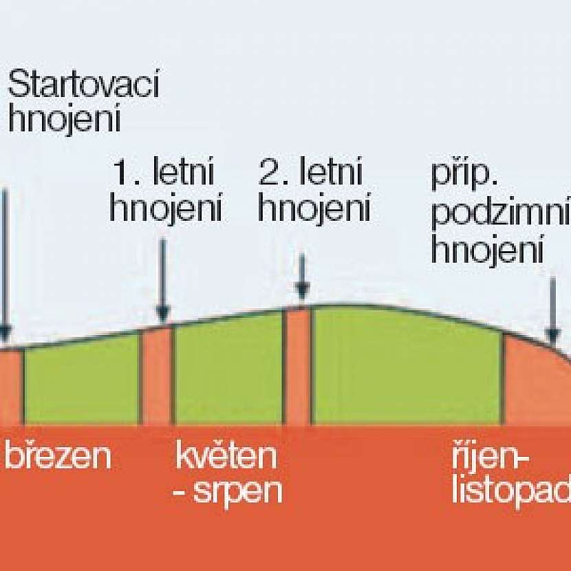 Umění anglického trávníku