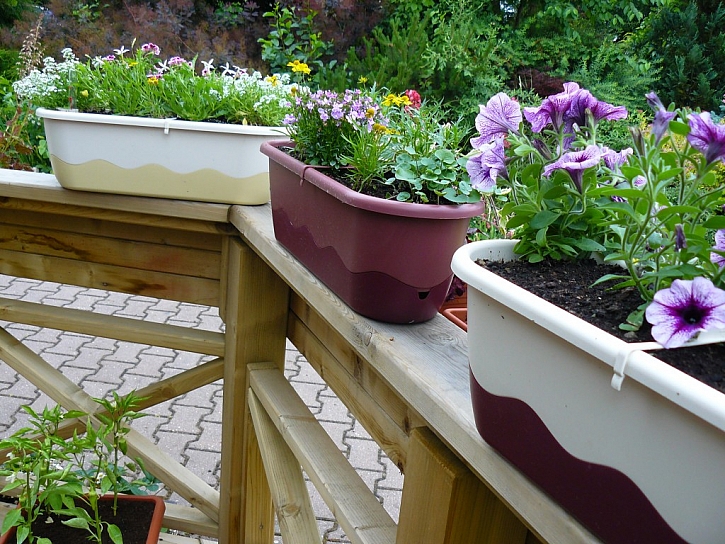 Vykouzlete na svém balkóně zelenou oázu. Pomohou vám samozavlažovací truhlíky a květináče.