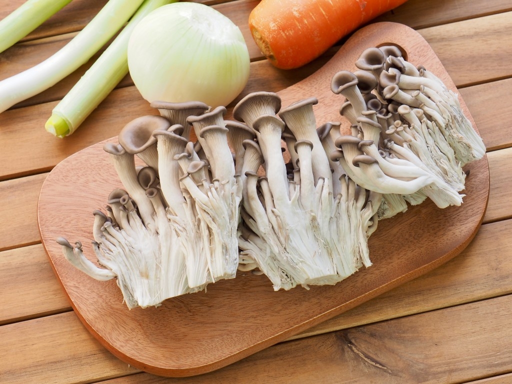 Jak si vypěstovat v domácích podmínkách jedlé houby?