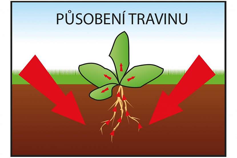 Jak TRAVIN funguje?