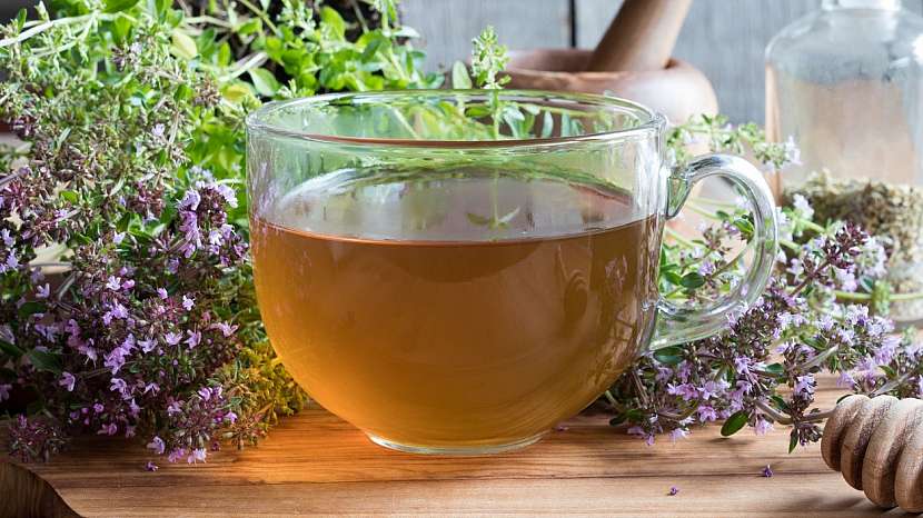 Mateřídouška obecná (Thymus serpyllum): nálev proti kašli i duševní pohodu