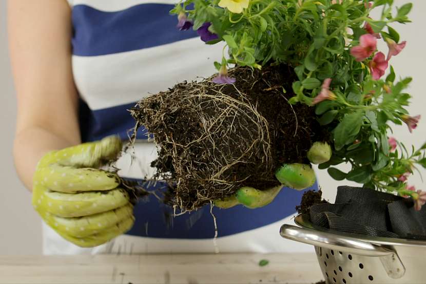 DIY závěsný květináč: zasaďte balkonové květiny